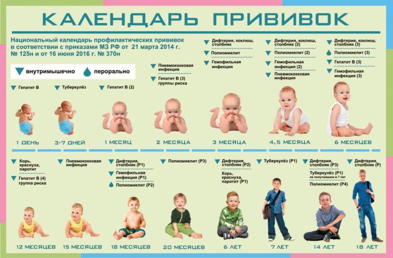 Прививки для детей и взрослых
