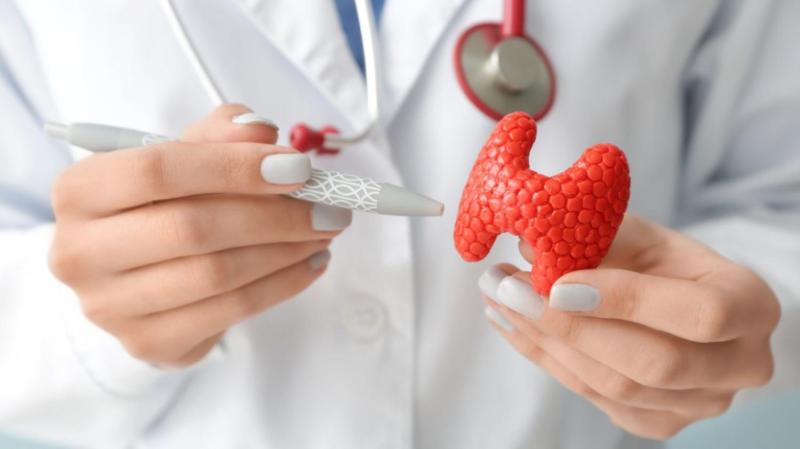 Эндокринолог