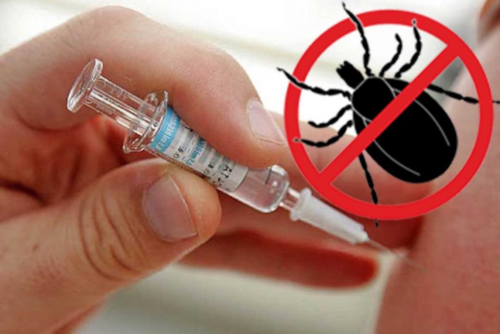 Внимание! Новое поступление вакцины от клещевого вирусного энцефалита!